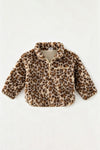 Leopard printed pullover sweater. TPG60536 SOL