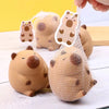 3.35"  Capybara squishy stress toy. 6970533647185