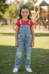 Lt. Blue star bleached denim overalls with distressed detail. PNG50818 AMY