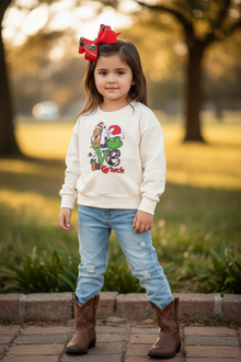  Christmas Character printed sweatshirt.🎄TPG40275 AMY