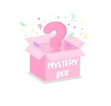  MYSTERY BOX 20X20X20/$200 WE CHOOSE STYLES. Christmas & Winter
