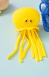 Water Spray octopus stress toy.